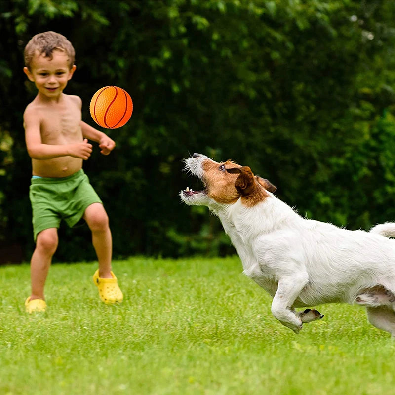 Safe EVA Pet Ball Durable Bouncy Fetch Basketball