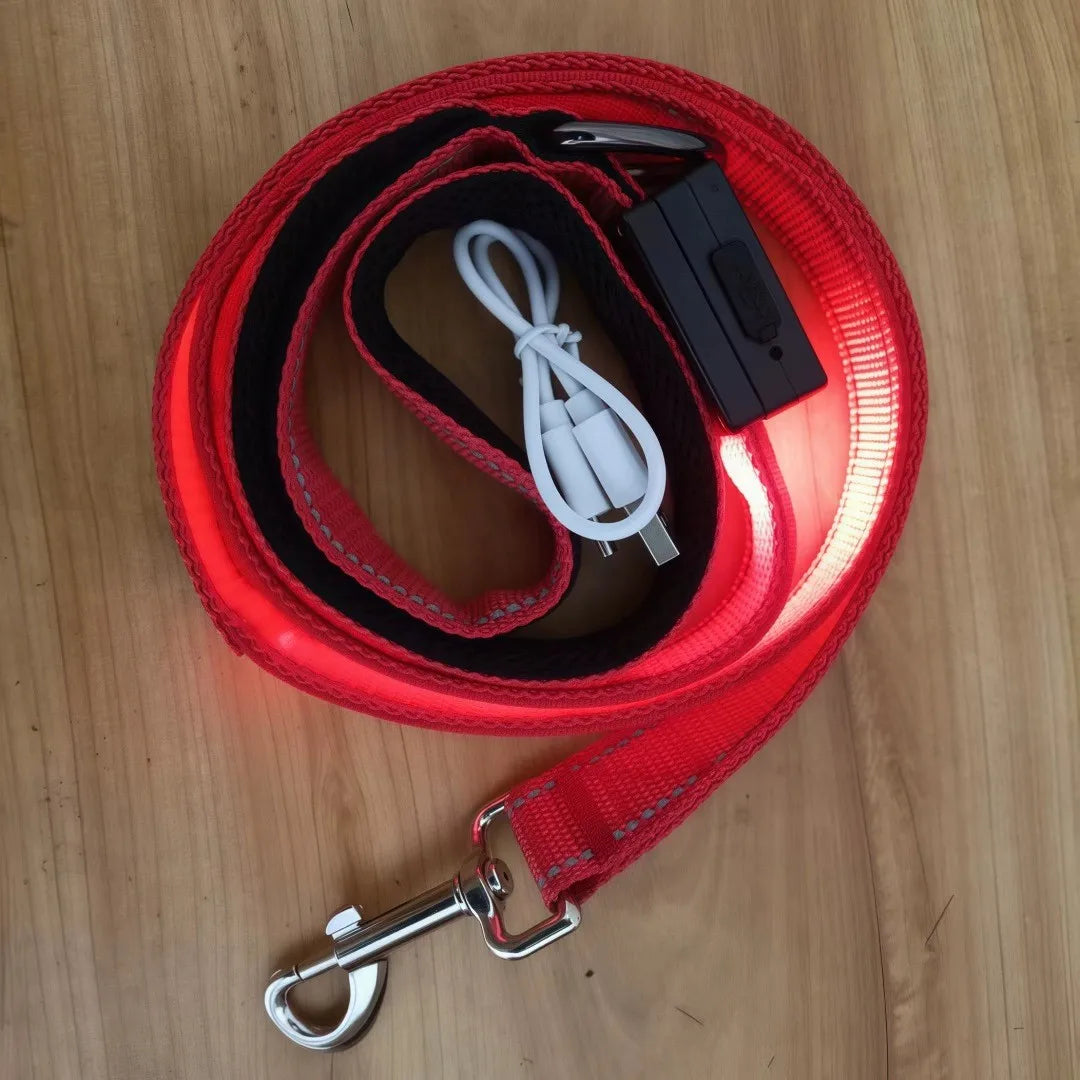 USB Rechargeable LED Light Up Leash for your pups safety.