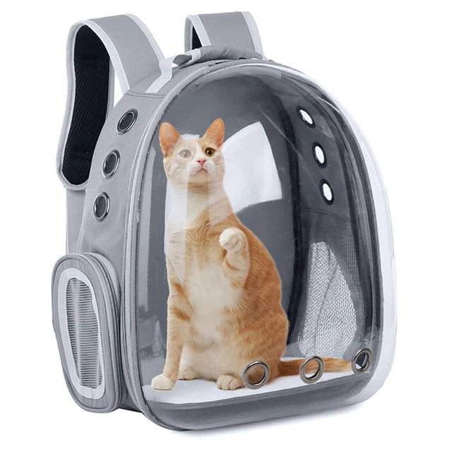Space Capsule Carrier