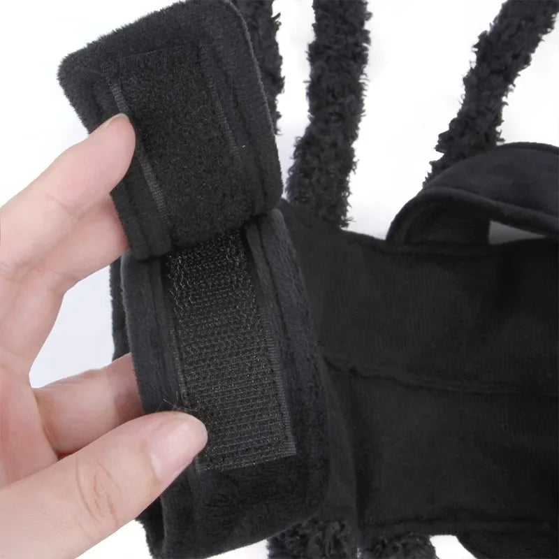 Halloween Spider for your pup.