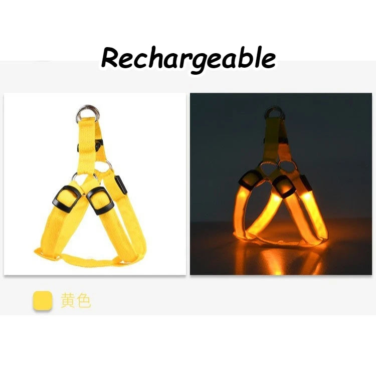 LED Light Up Harness for your pup's night time walks.