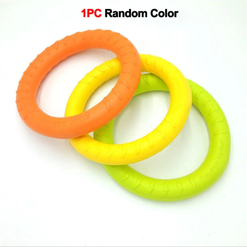 Flying Disk Training Ring