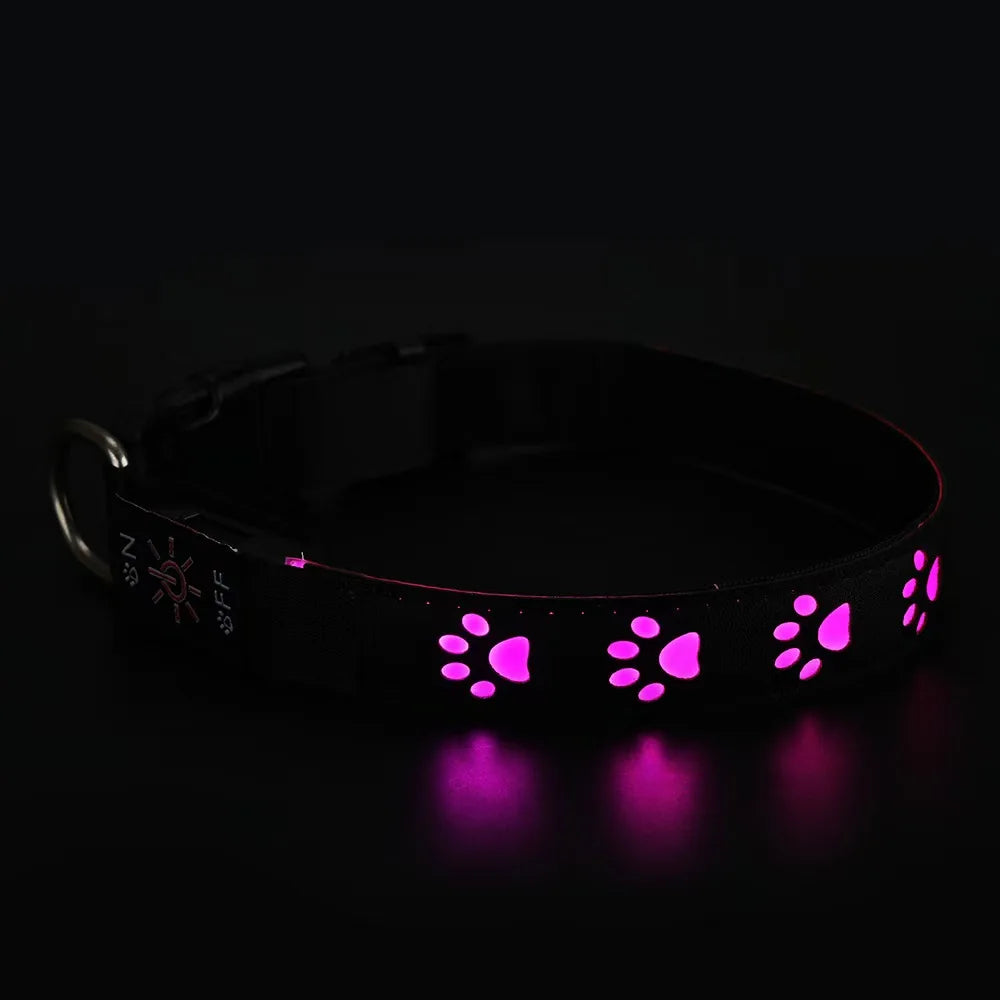 USB Chargeable Collar - 7 colors of light to choose from.