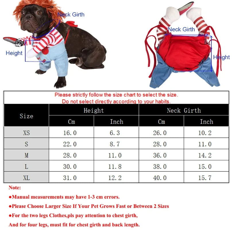 Halloween Costume your pup.