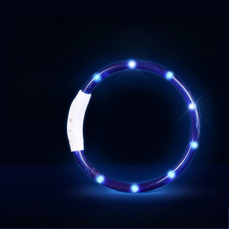 Waterproof, Rechargeable LED Collar with Detachable Light