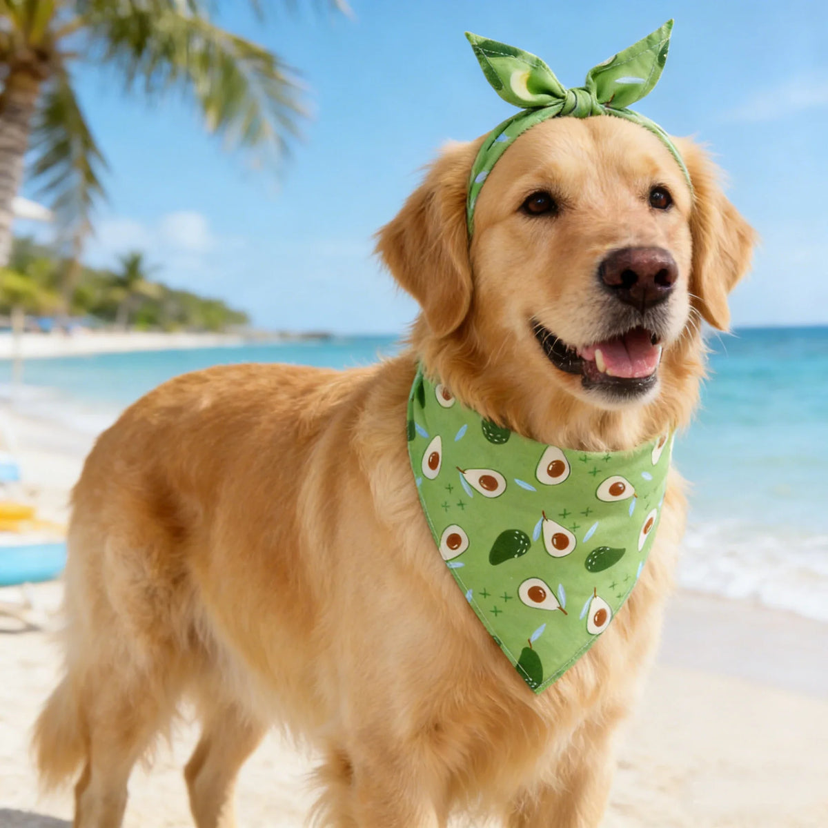 Dog Bandana Washable Adjustable