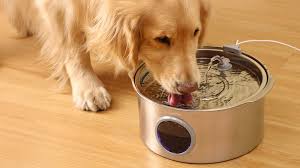 Bowls & Feeders