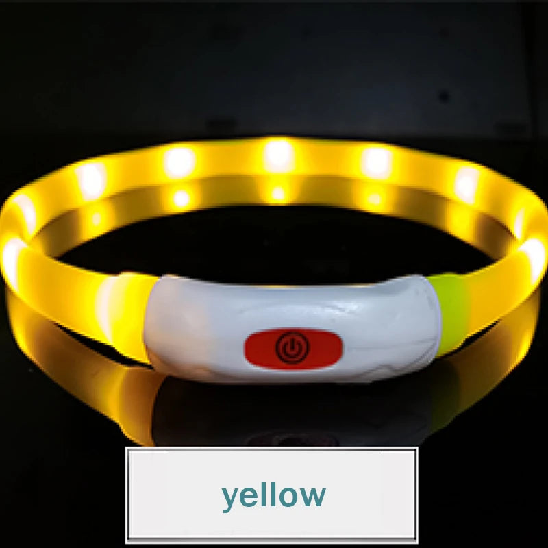 LED  USB  Rechargeable Collar for your pup.