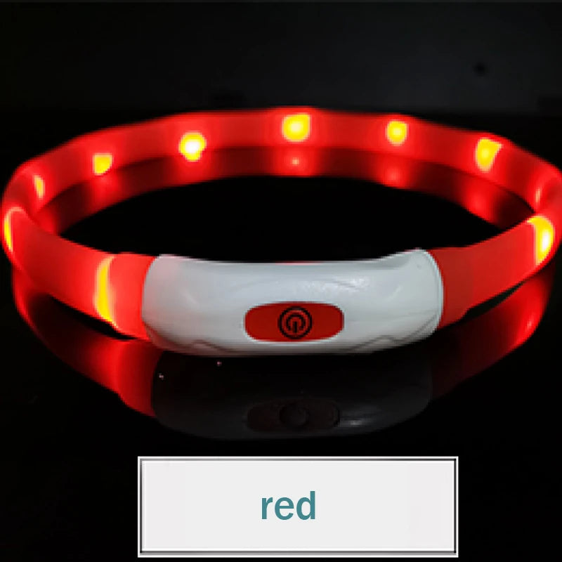 LED  USB  Rechargeable Collar for your pup.