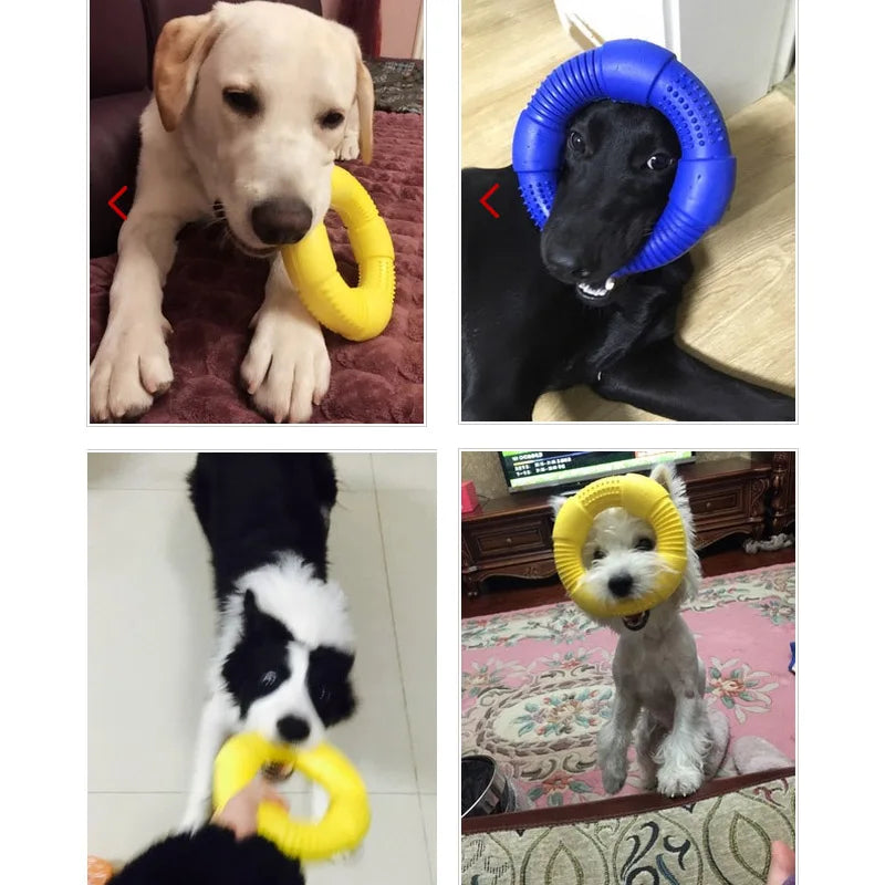 Dog Foam Ring Toy