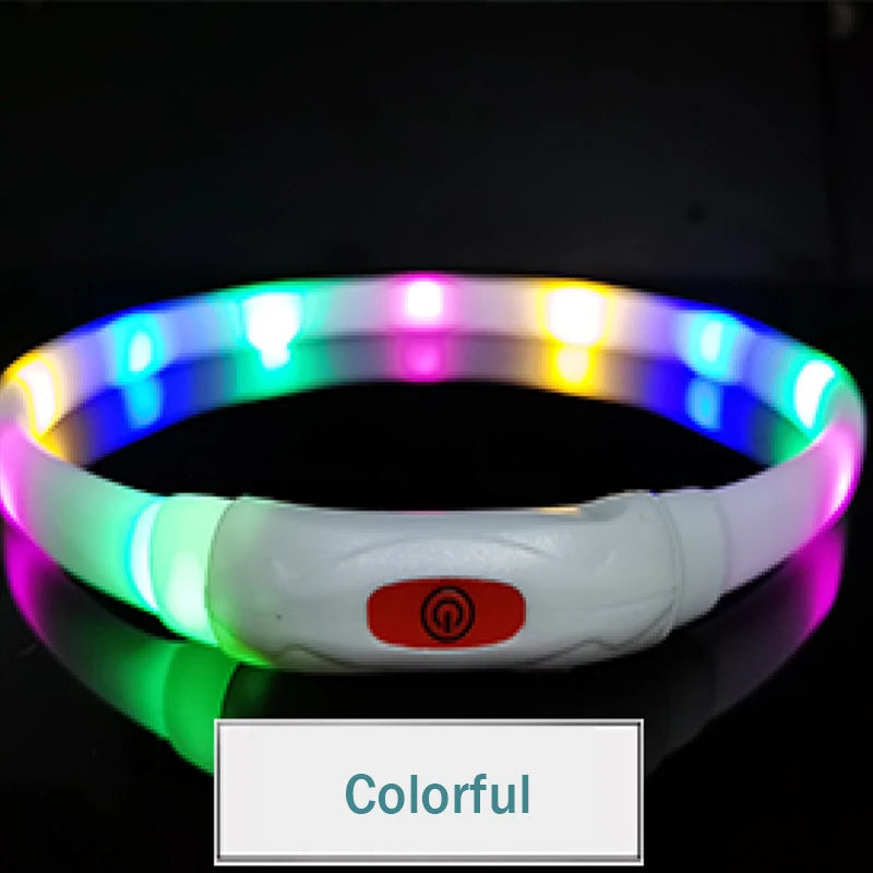 LED  USB  Rechargeable Collar for your pup.