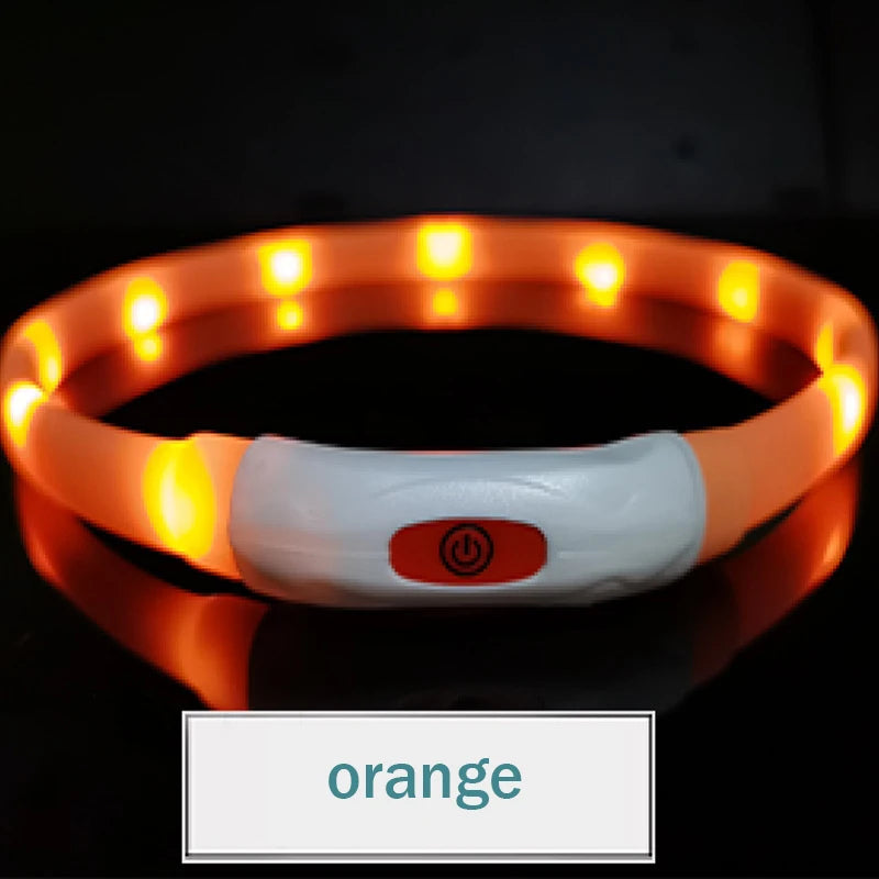 LED  USB  Rechargeable Collar for your pup.