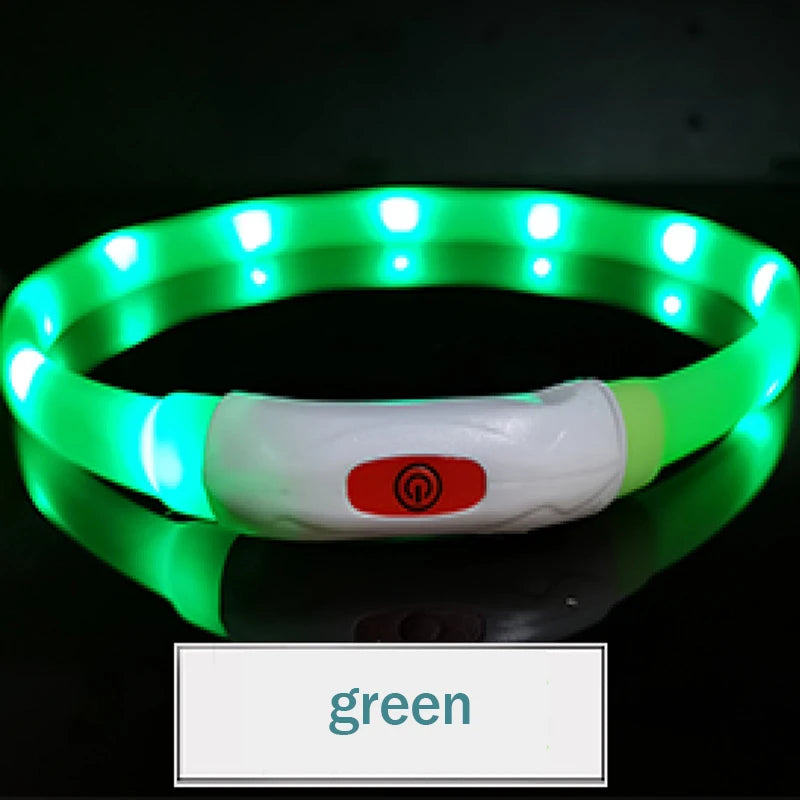 LED  USB  Rechargeable Collar for your pup.
