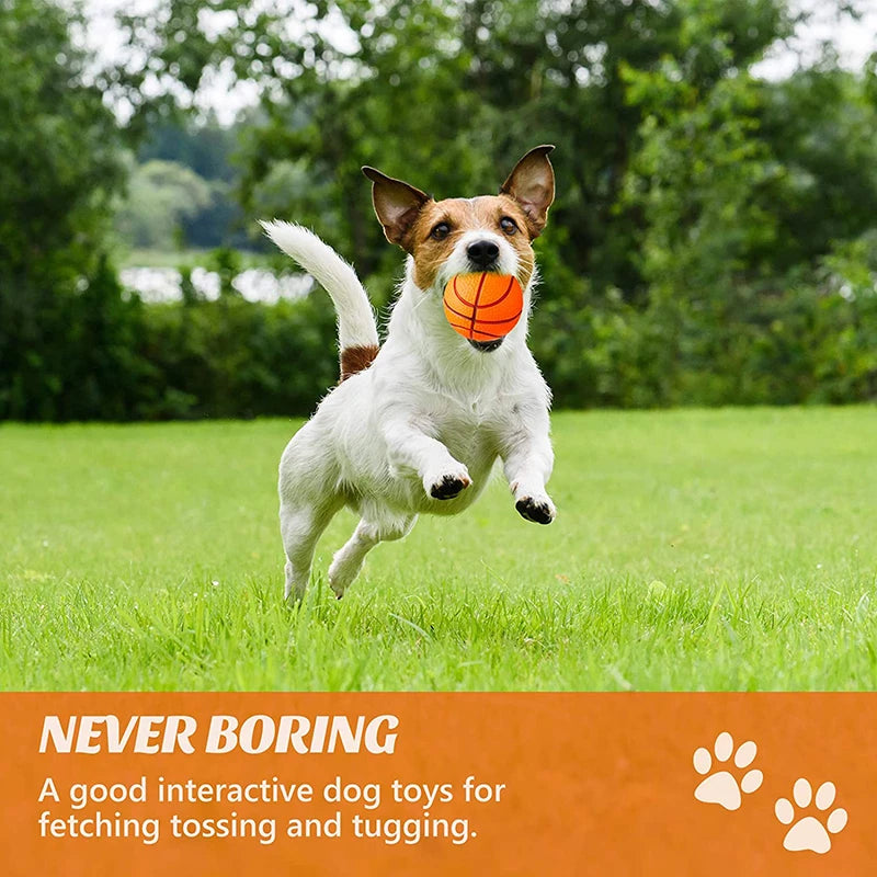 Safe EVA Pet Ball Durable Bouncy Fetch Basketball