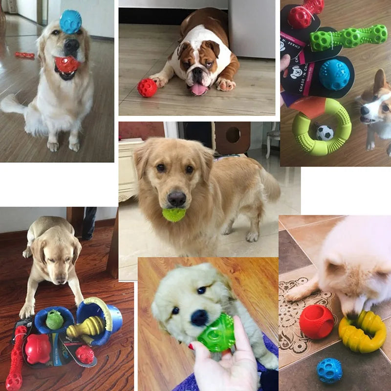 Dog Durable Squeak Toys