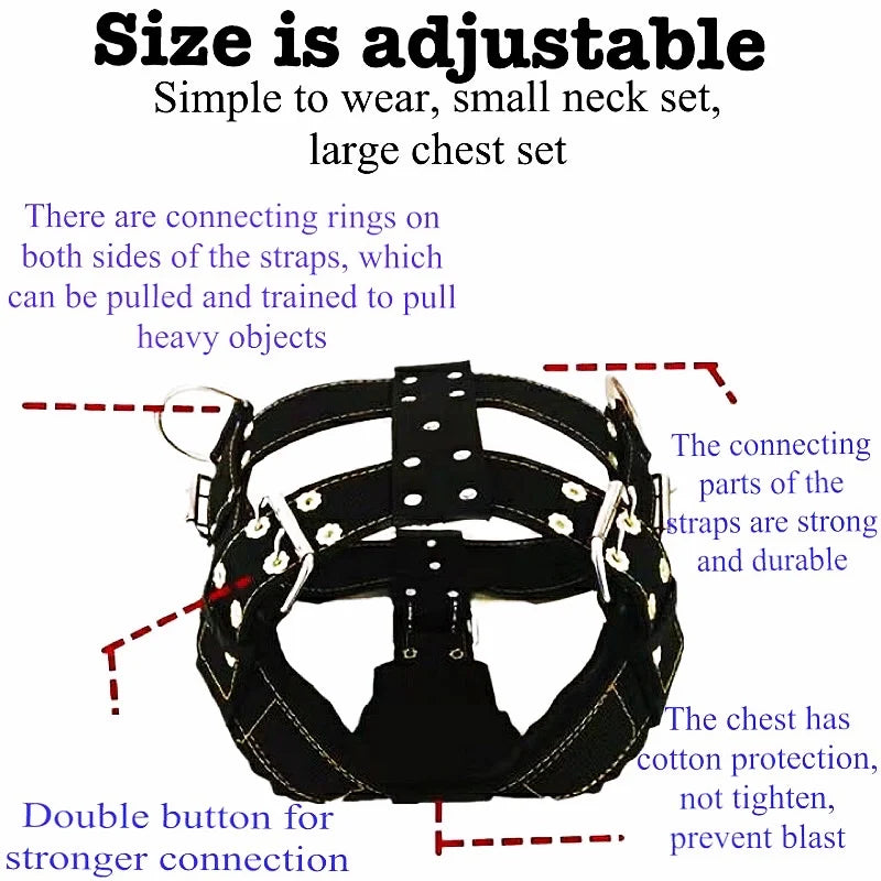 Dog Harness