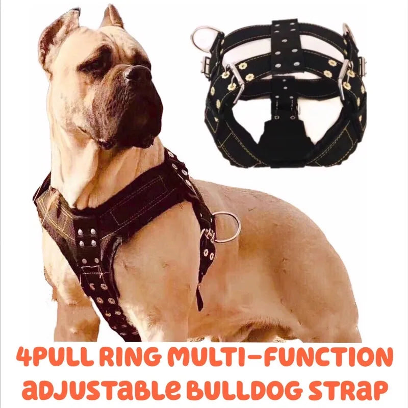 Dog Harness