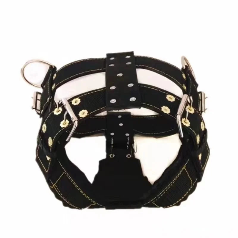 Dog Harness