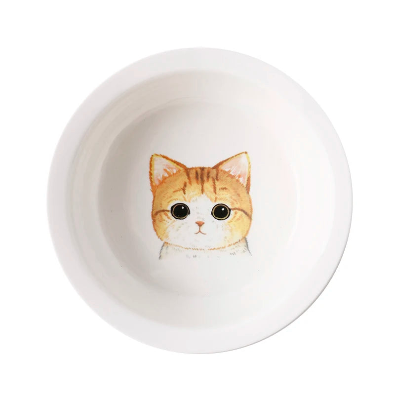 Elevated Ceramic Pet Bowl