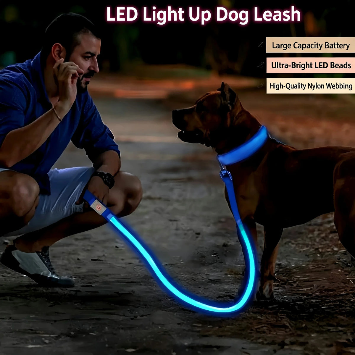 USB Rechargeable LED Light Up Leash for your pups safety.