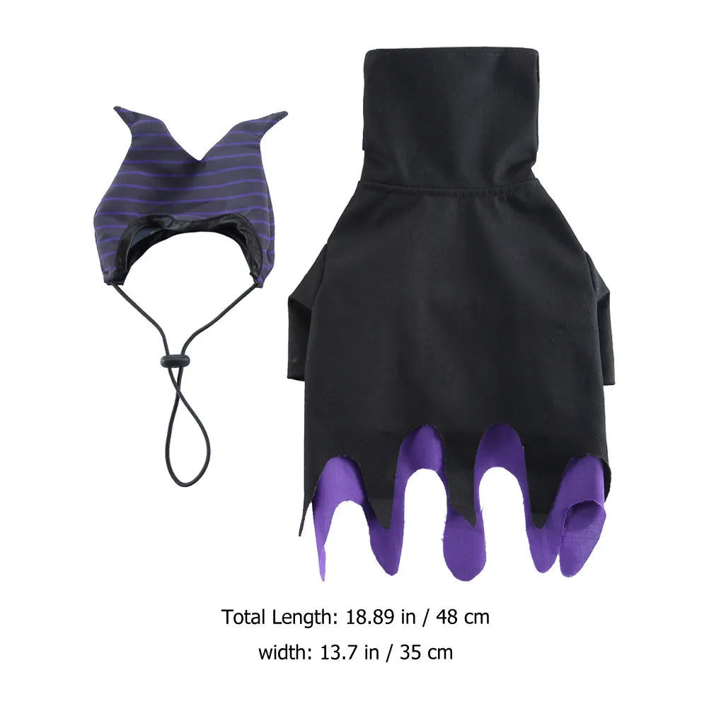 Witch Costume for your pup.
