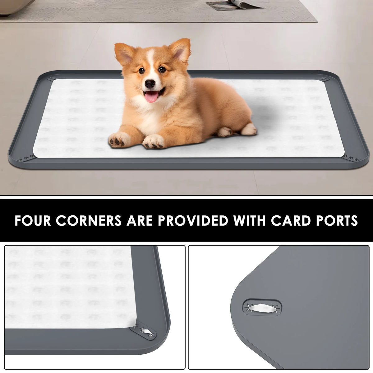 Dog Silicone Pee Pad Holder Foldable  & Leak Proof