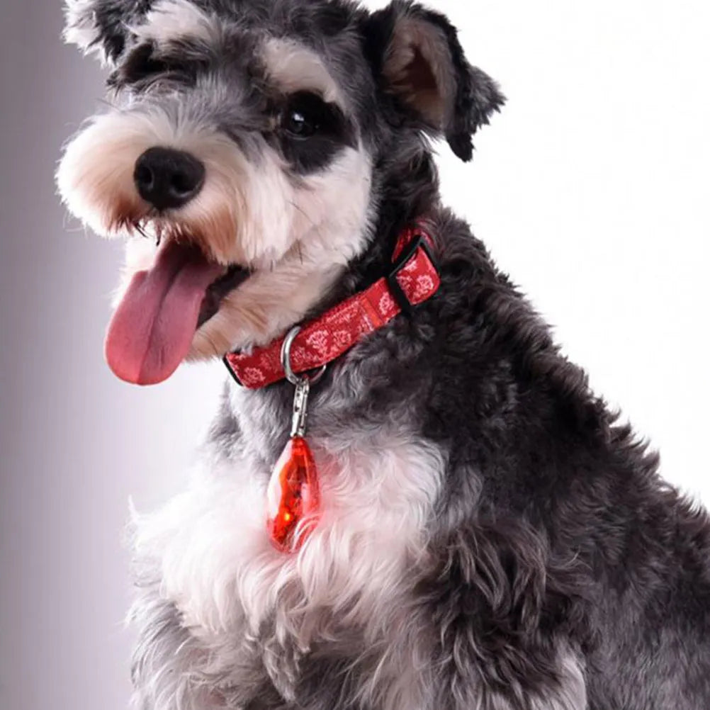 LED Collar Lights 2 Pack Bright  & Reusable