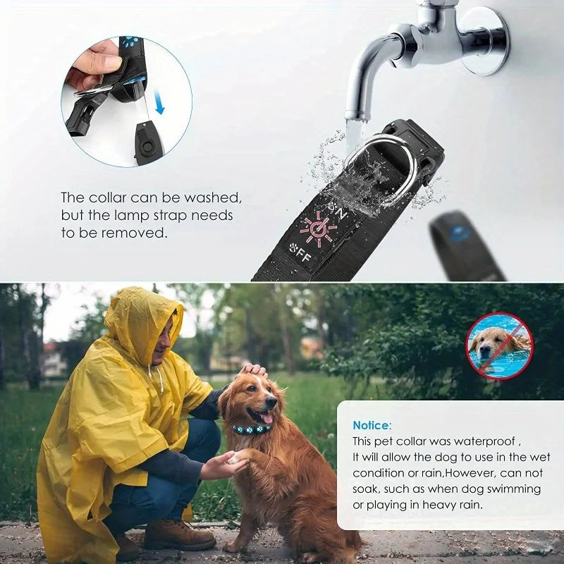 USB Chargeable Collar - 7 colors of light to choose from.
