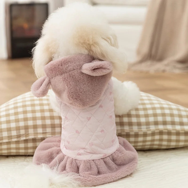 Winter Jacket for your pup.