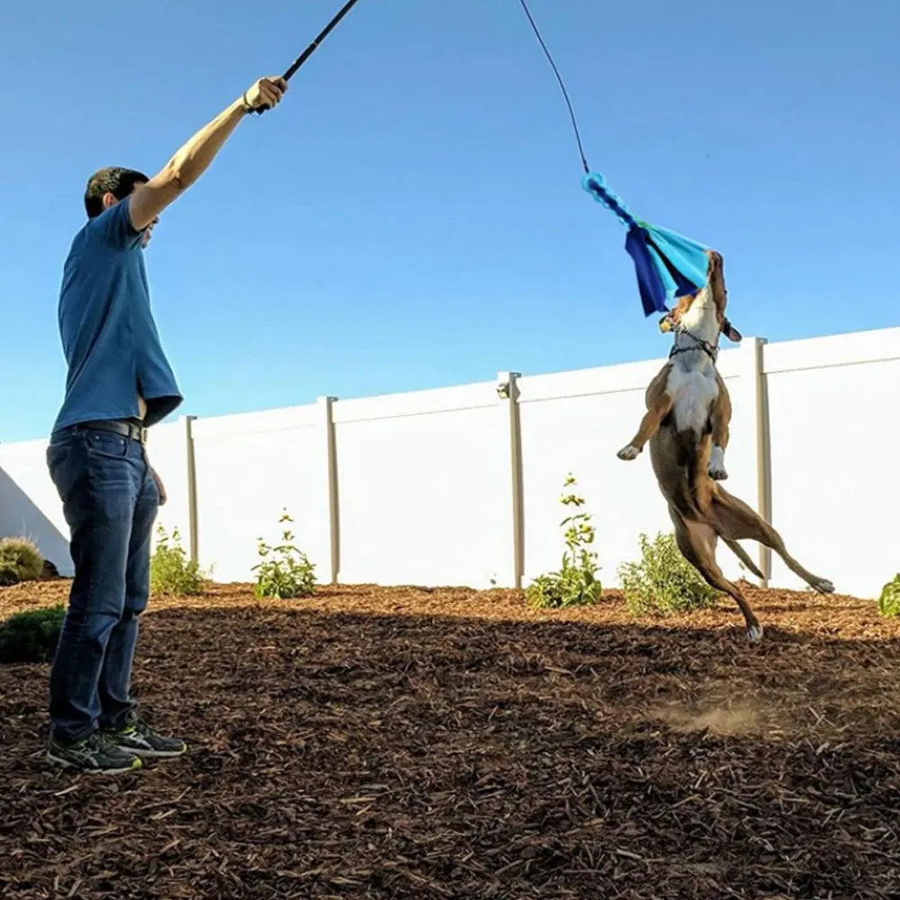 Pet Pole Stick Interactive Chasing Tail Teaser