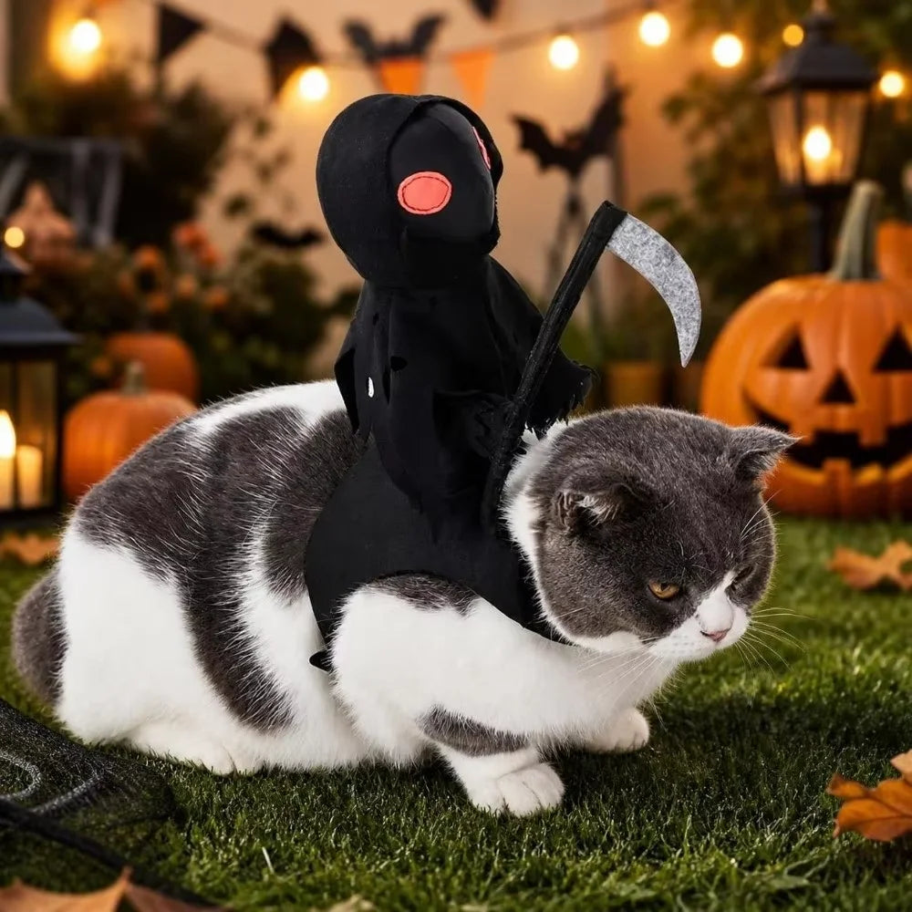 Halloween Costume for your cat.  Ruby loves how mad this cat looks!