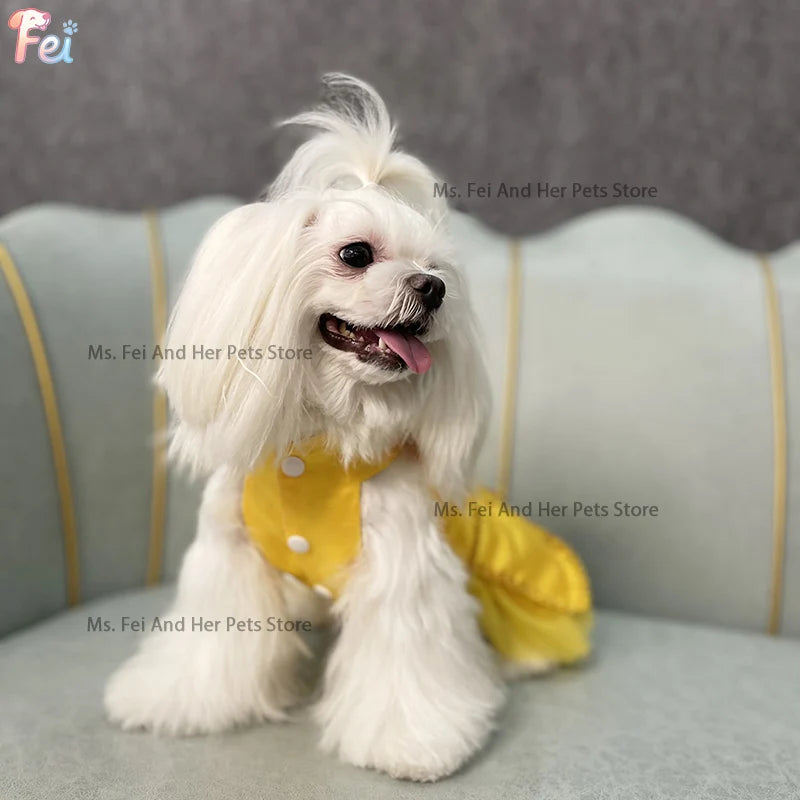Halloween Beauty and Beast Themed Dog Couple Costume |