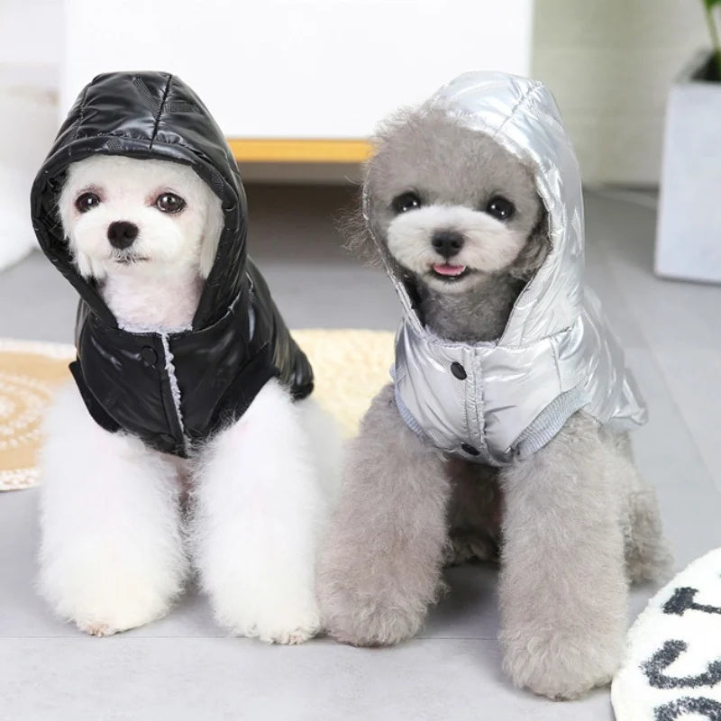 Waterproof Down Padded Jacket for your pup.