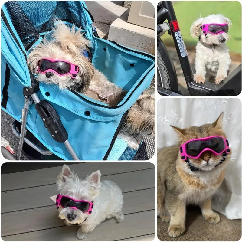 UV Protective Goggles for Small/Medium pups.