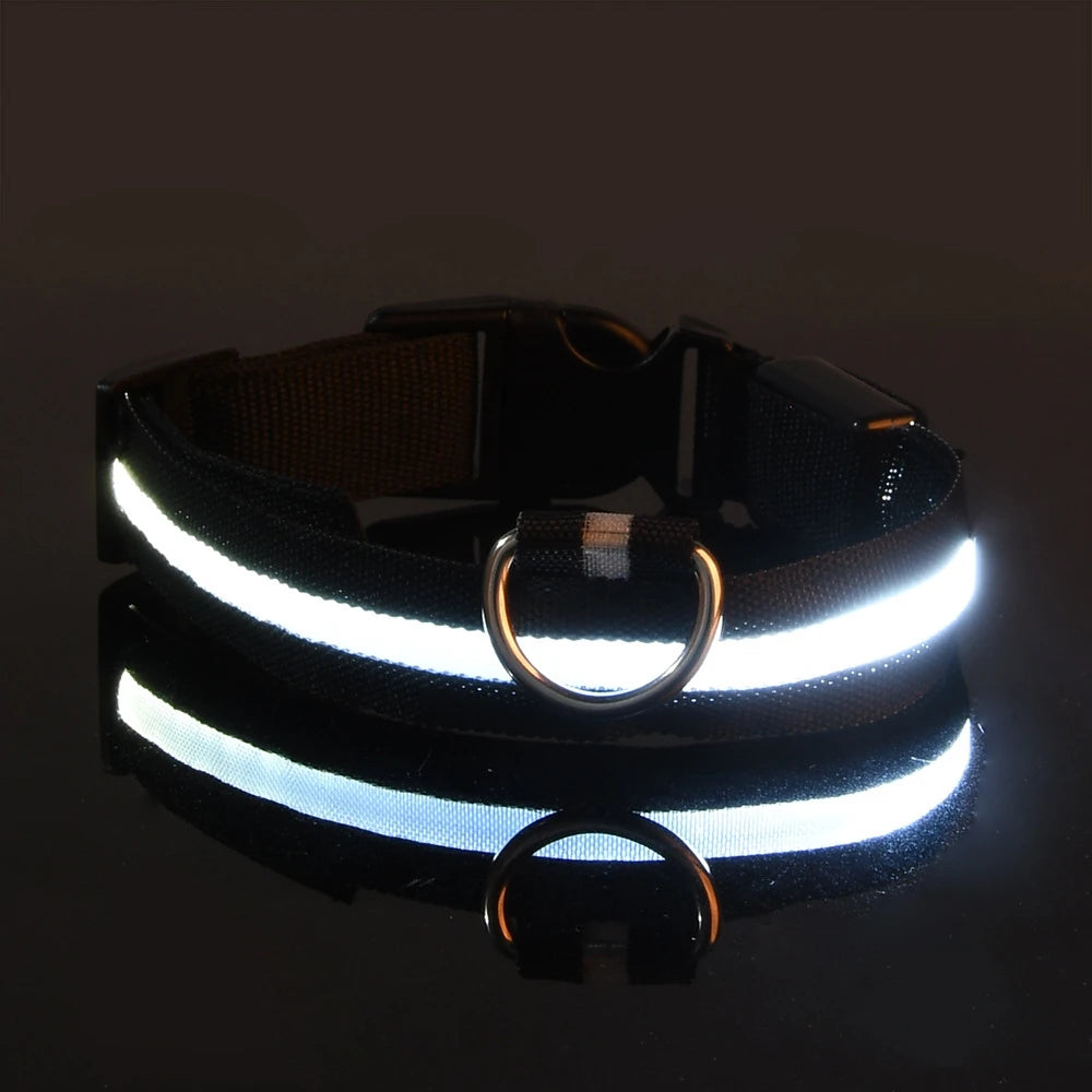LED Light up collar for your pups nightly walks.