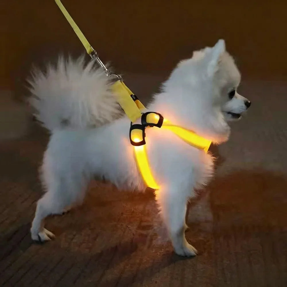 LED Light Up Harness for your pup's night time walks.