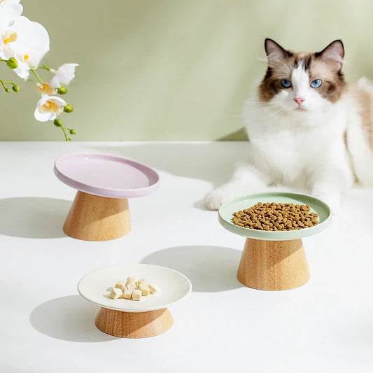 Elevated Ceramic Food / Water Bowl