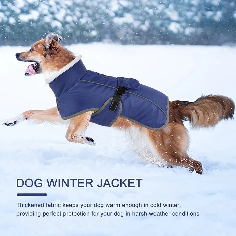 Reflective Winter Jacket for your pup.