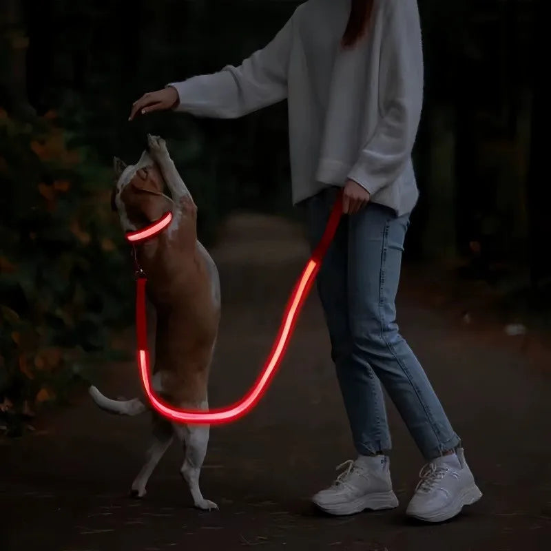 USB Rechargeable LED Light Up Leash for your pups safety.