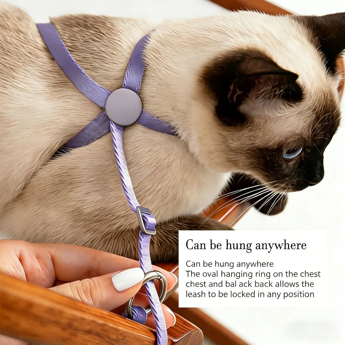 Escape Proof Cat Harness & Leash Set