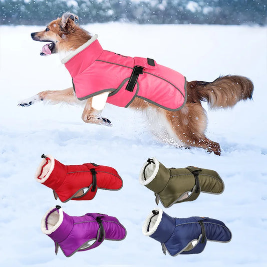 Reflective Winter Jacket for your pup.