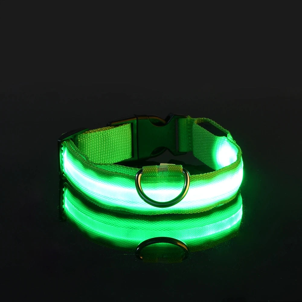 LED Light up collar for your pups nightly walks.