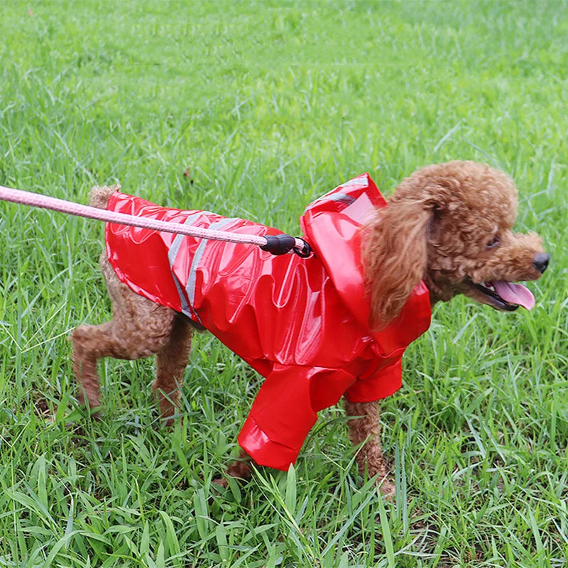 Reflective Raincoat With Hood for your pup.