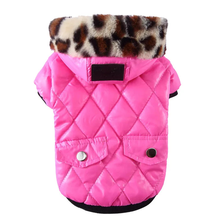 Waterproof Winter Jacket with Print Collar for your pup.