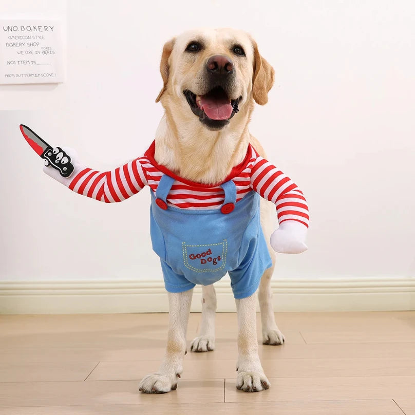 Halloween Costume your pup.