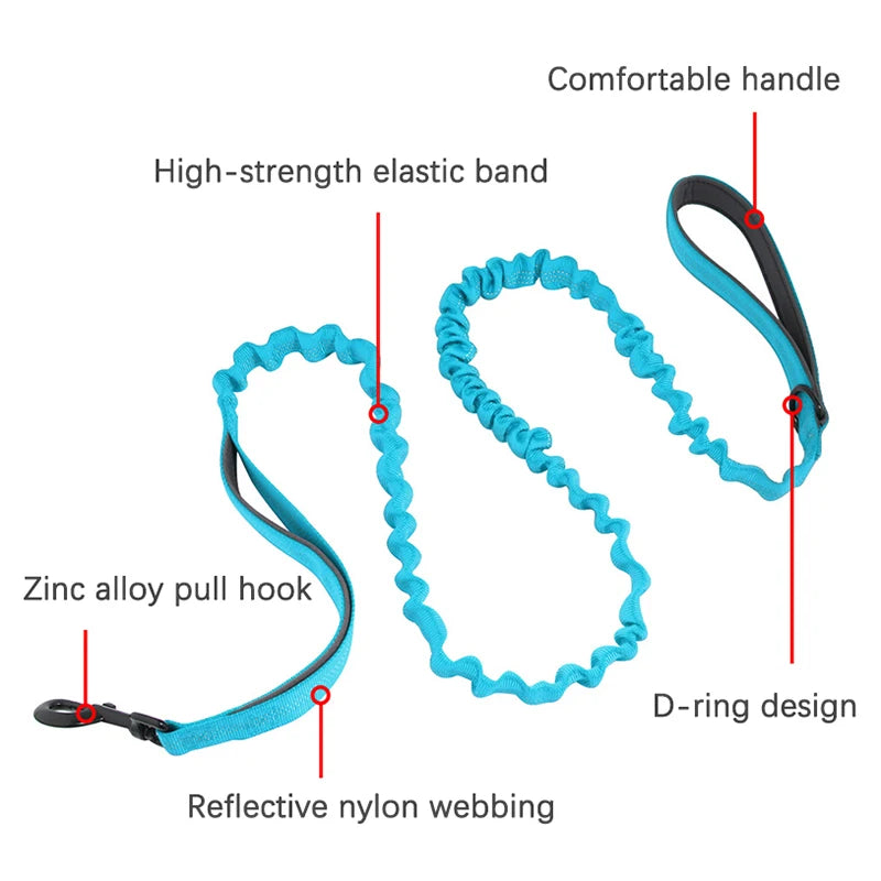 High Elasticity Double Handle Leash