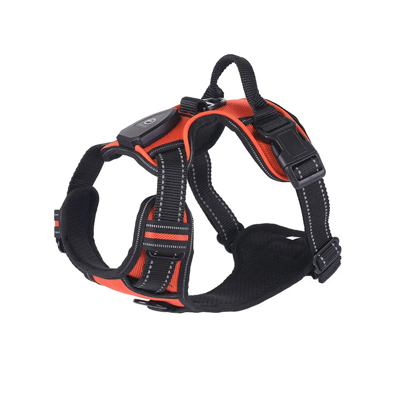 Rechargeable LED Harness with Three Light Modes