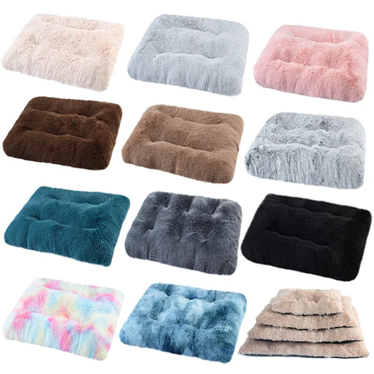 Soft and Cozy Bed