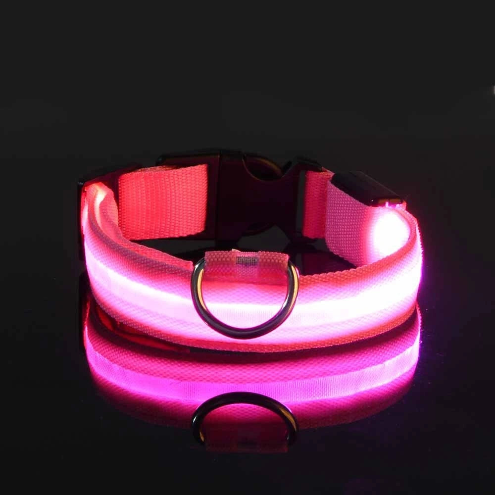 LED Light up collar for your pups nightly walks.