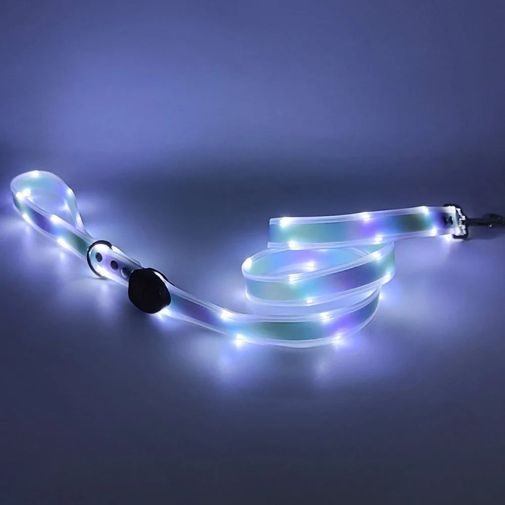 Rechargeable, Adjustable & Waterproof LED Leash for your pup.